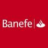 Banefechile