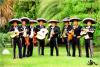 Mariachi Viva Antofagasta